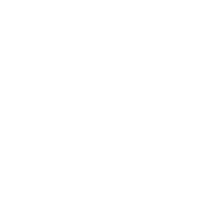 Cointegration AI Solutions Logo